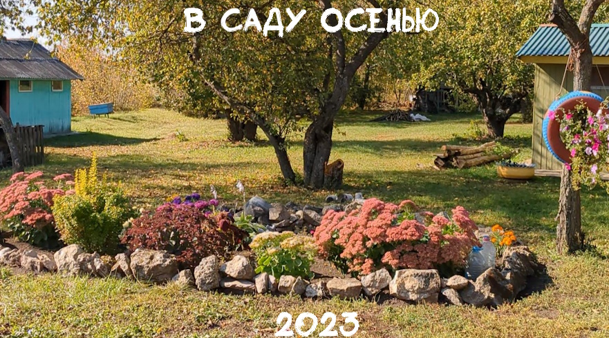 Видео 2023 Осенью в саду