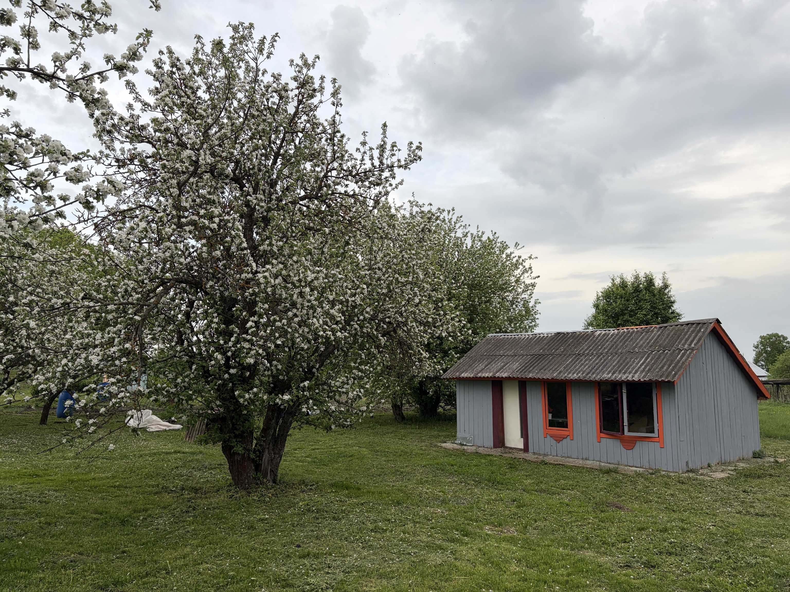 Весна 2026. Spring 2026.