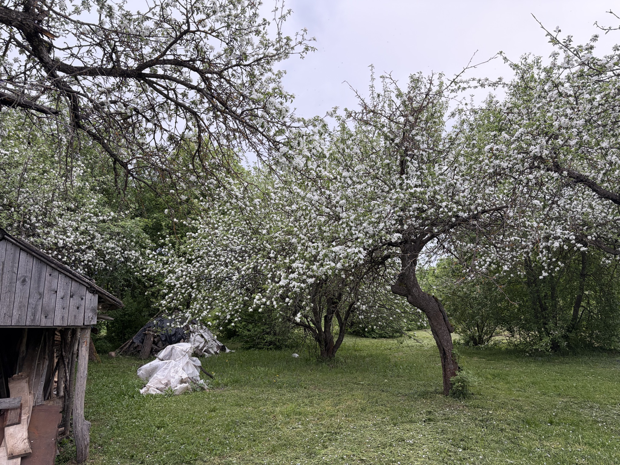 Дом Копыловых