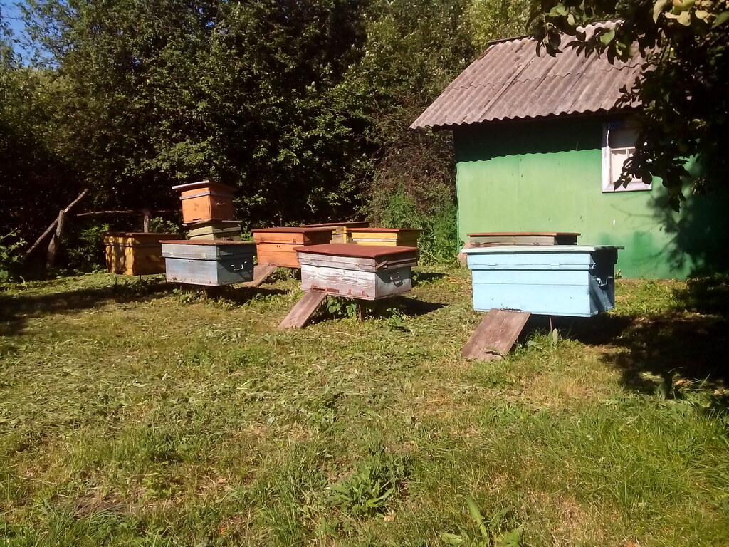 Дом Ерошкиных