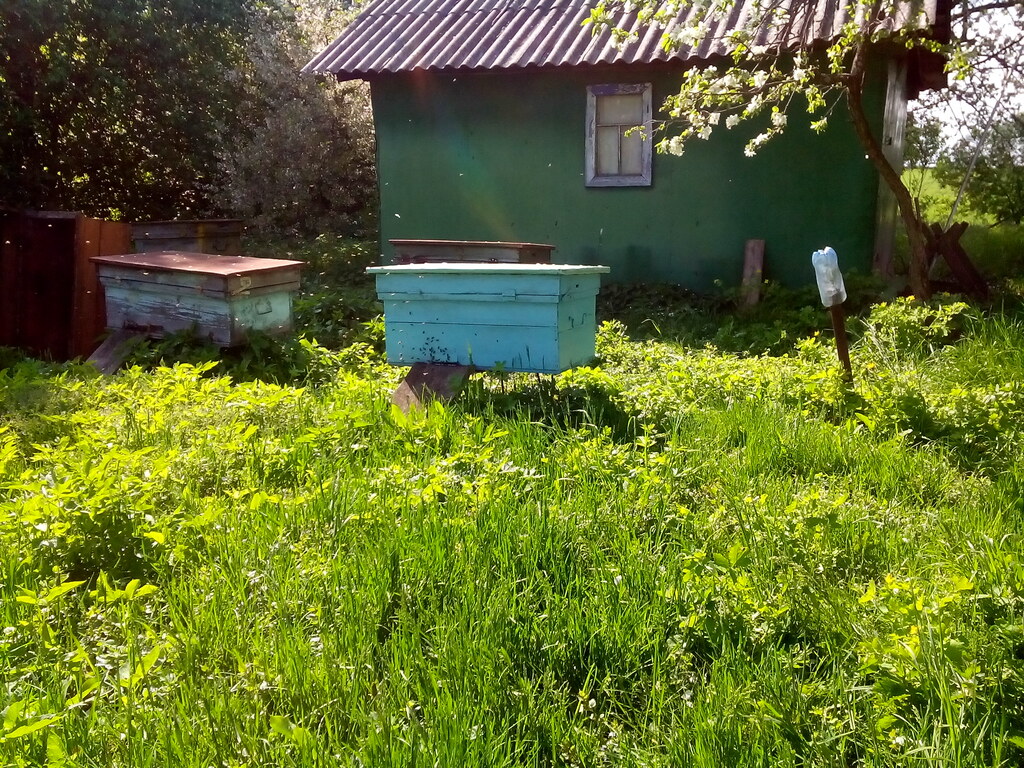 Дом Ерошкиных