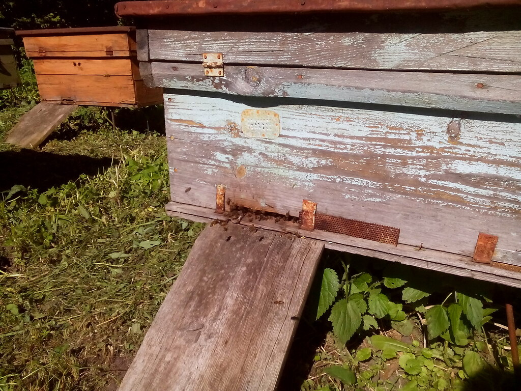 Дом Ерошкиных