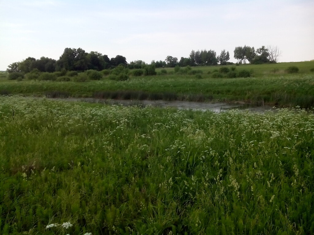 У речки