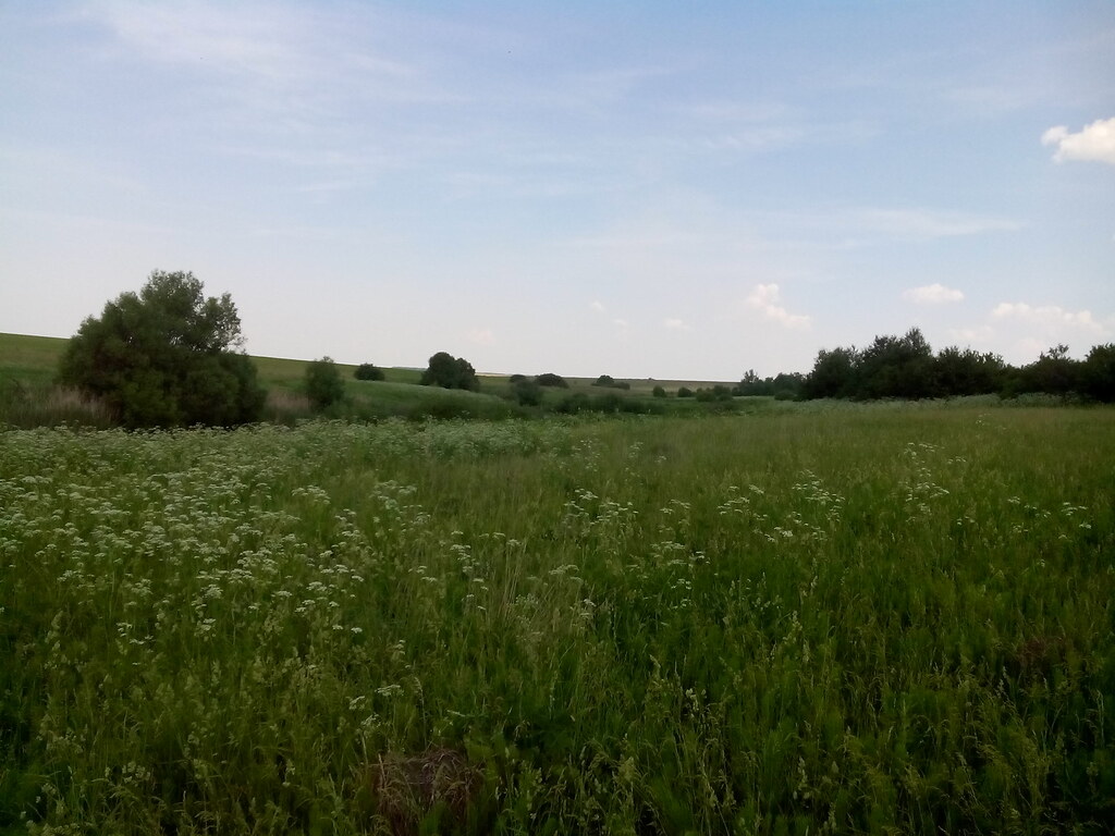 У речки