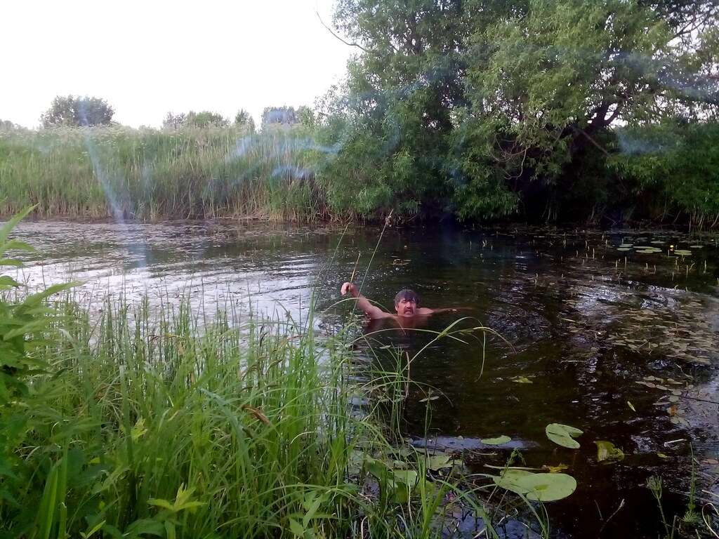 Ловись рыбка, большая и маленькая