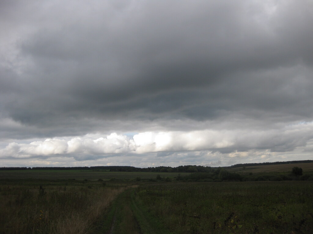 Природа в деревне