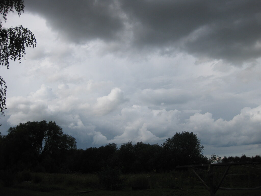Природа в деревне