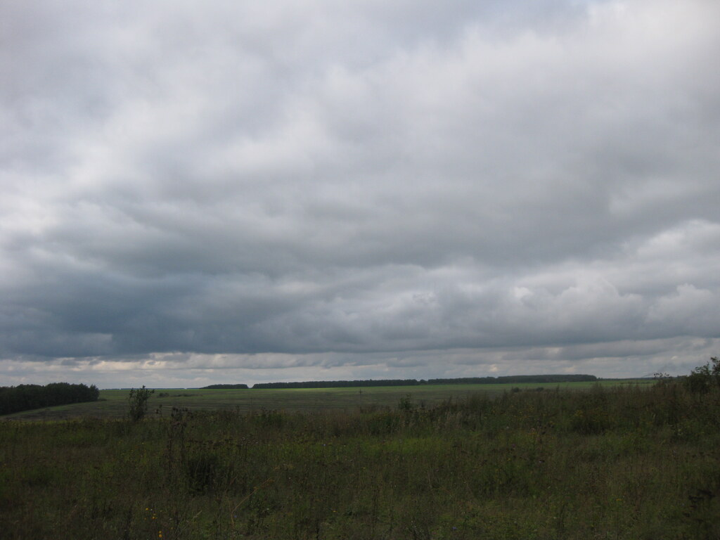 Природа в деревне