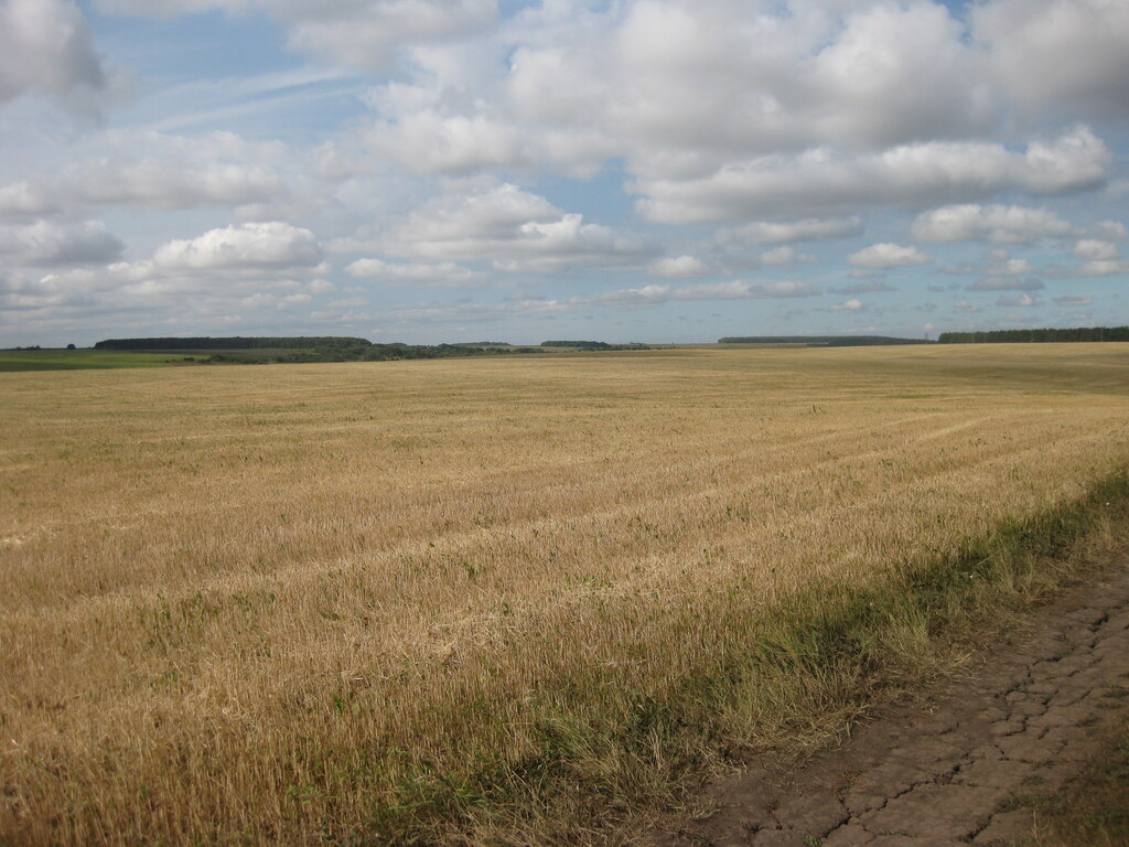 Природа в деревне