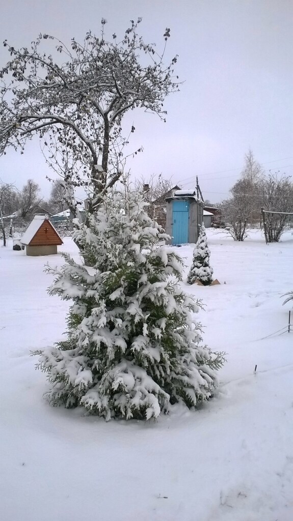 Дом Маркиных