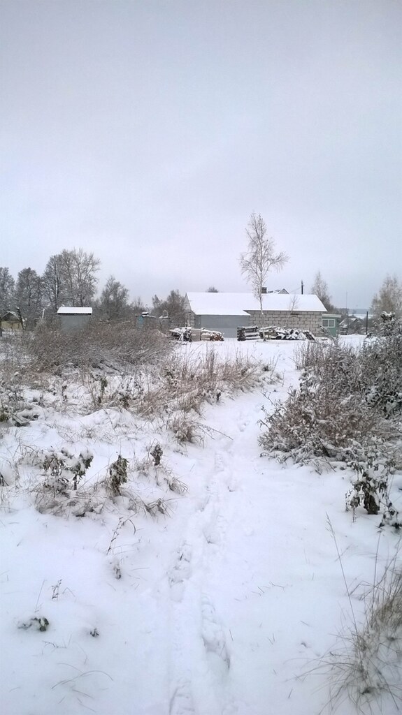 Дом Маркиных