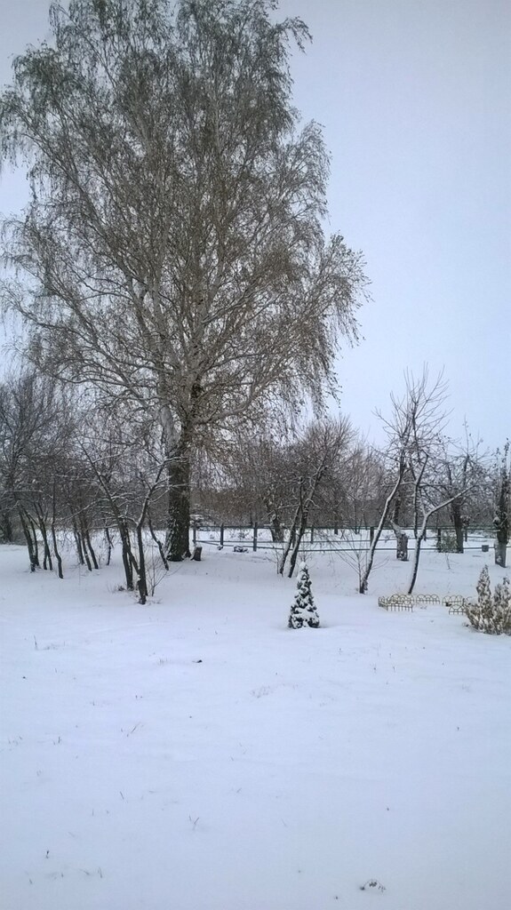 Природа в деревне