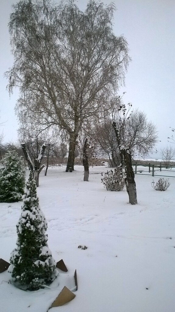 В саду