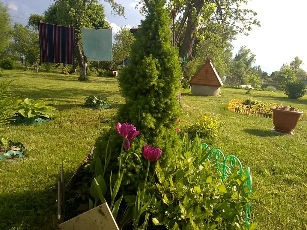 В саду