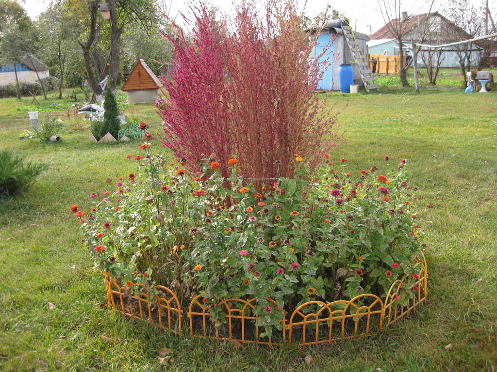Цветы