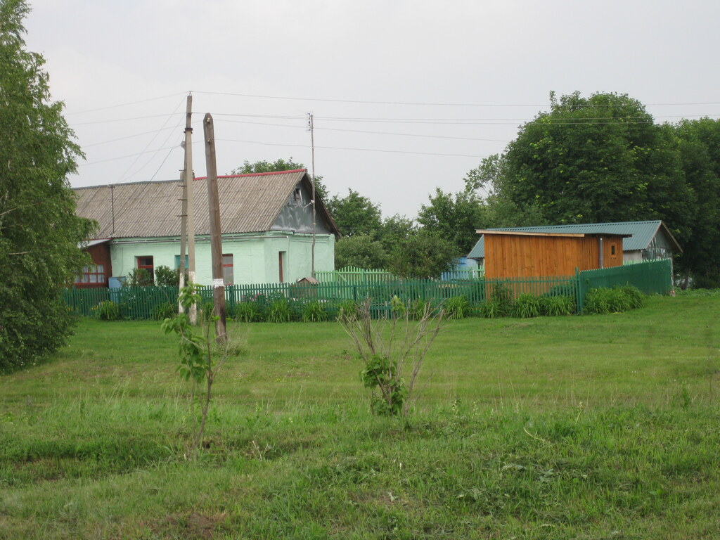Дом. Около дома