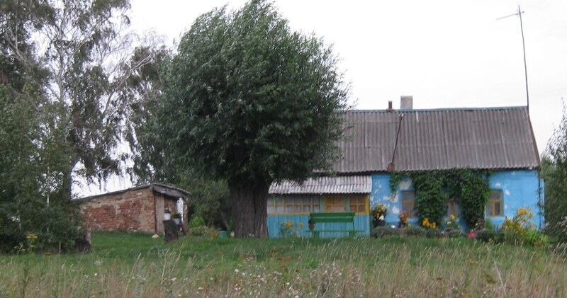 Настоящие Маркиных