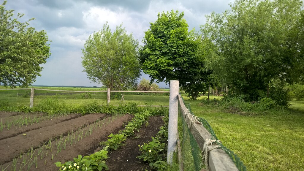 В саду