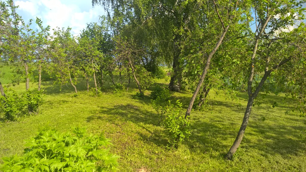 В саду