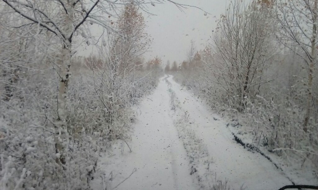 Лёгкий снег