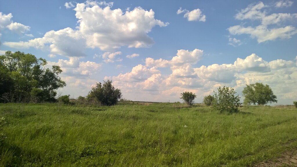 Природа в деревне