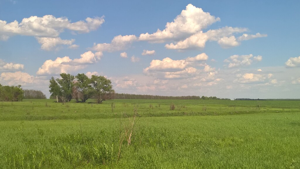 Природа в деревне