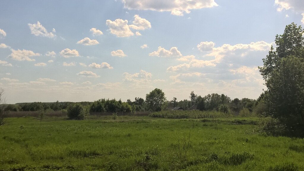 Природа в деревне