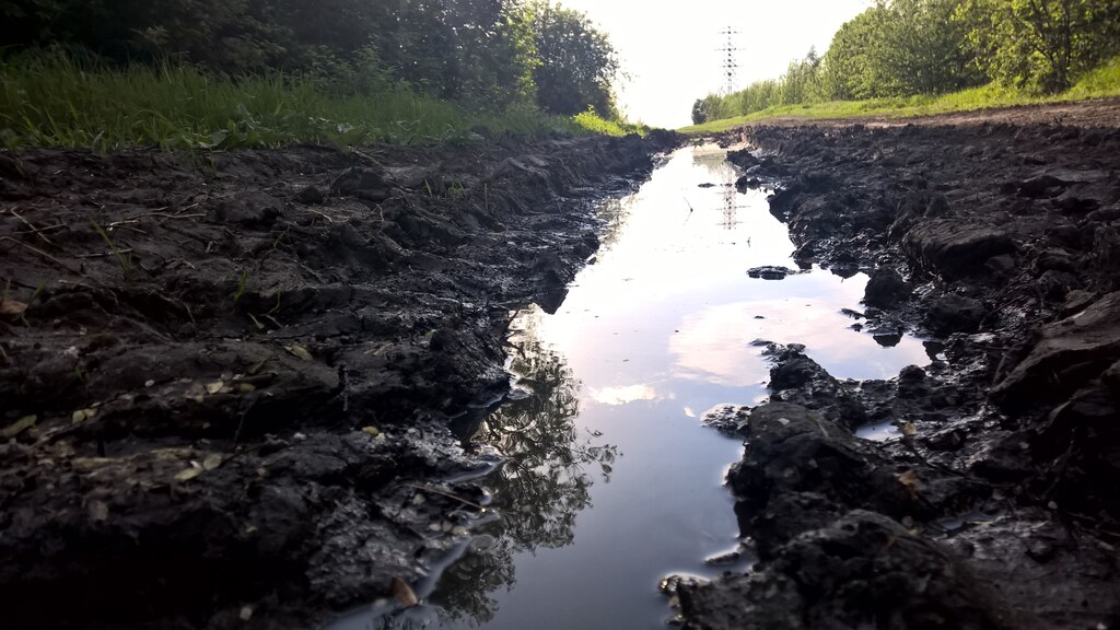 Дорога поле дождя, выглядит очень красиво
