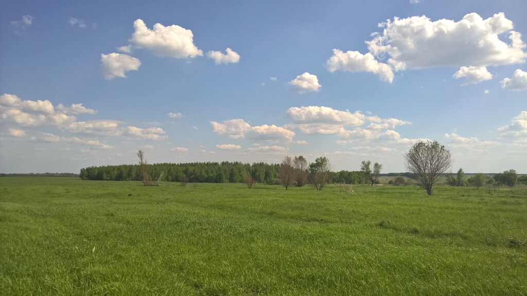 Природа в деревне