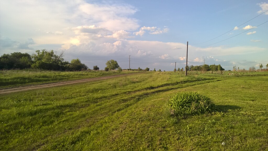 Природа в деревне