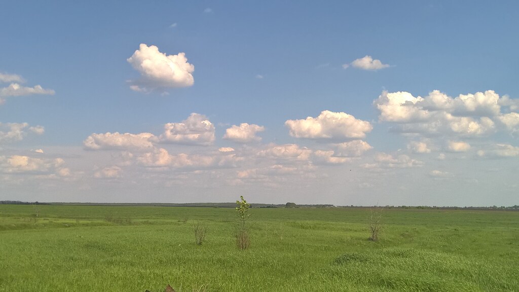 Природа в деревне