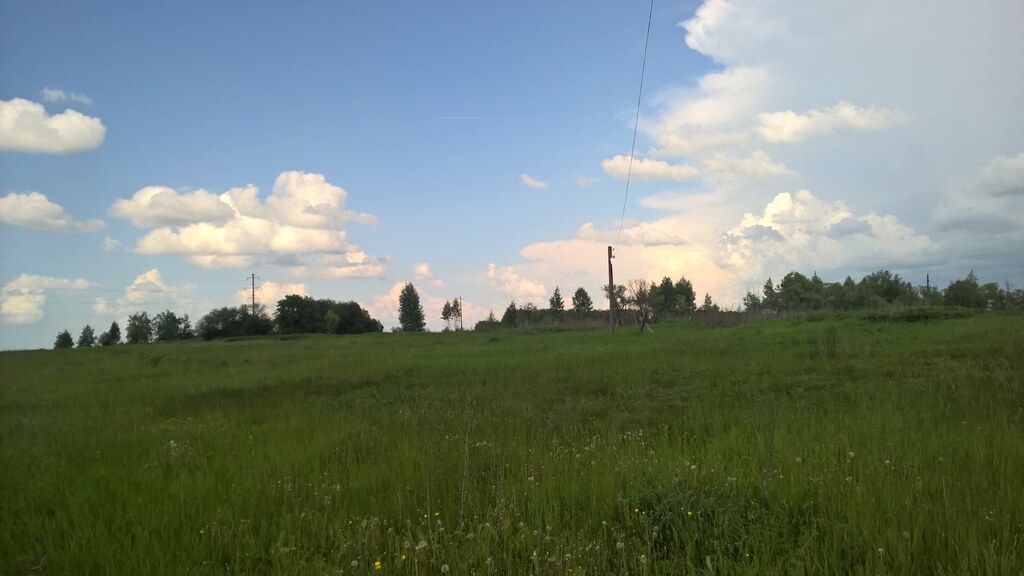 Природа в деревне