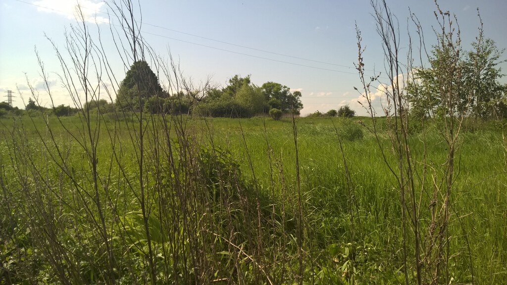Природа в деревне