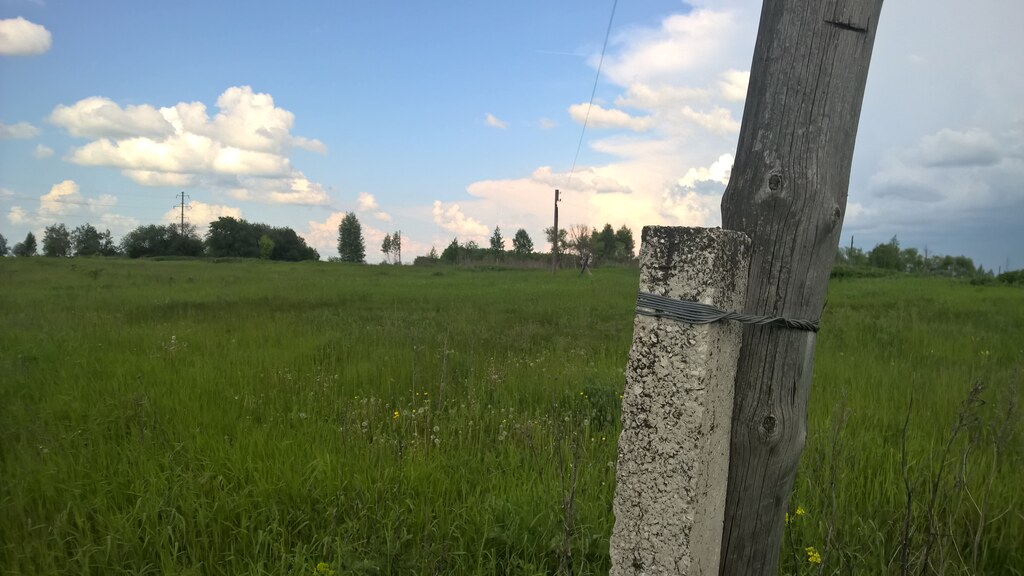 Природа в деревне