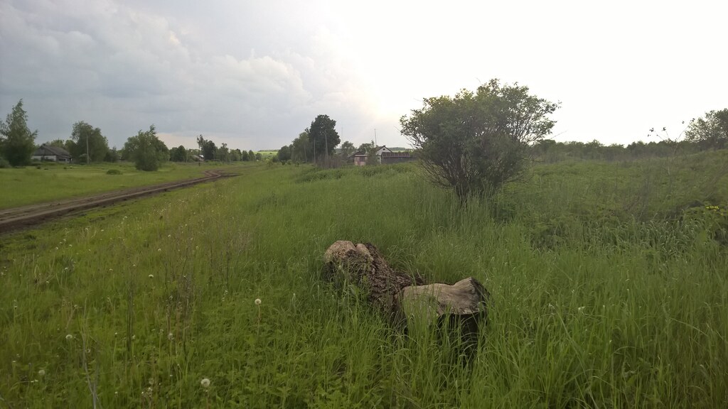 Дорога на деревню
