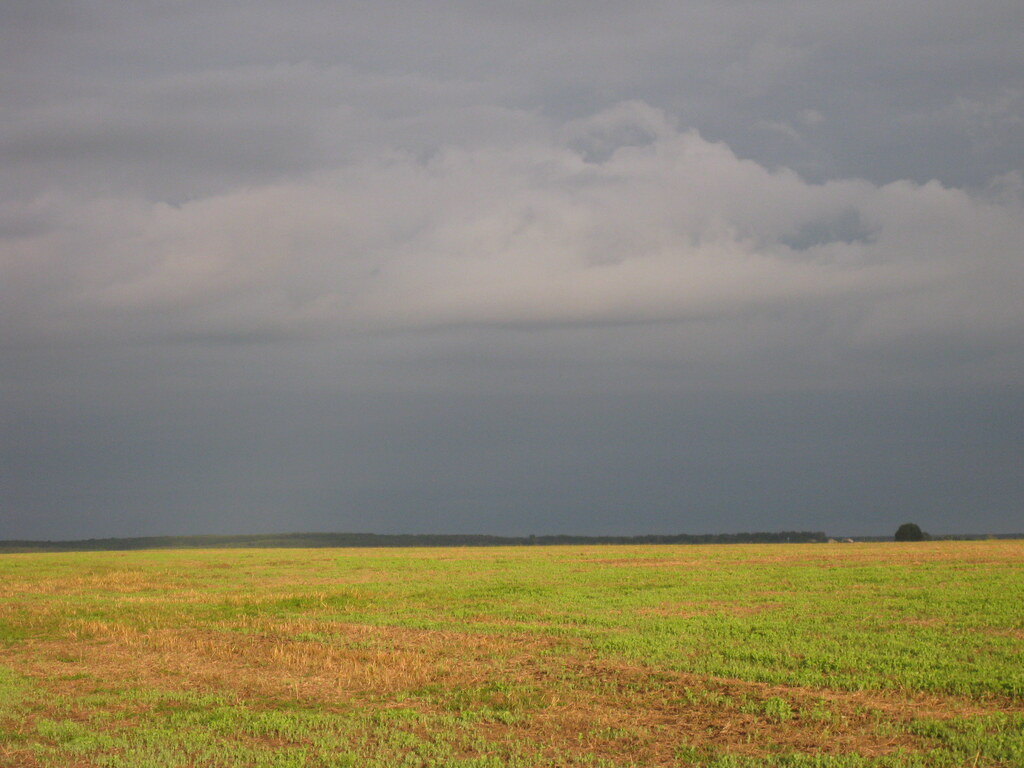 Перед дождём