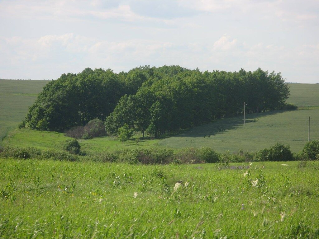 Природа в деревне