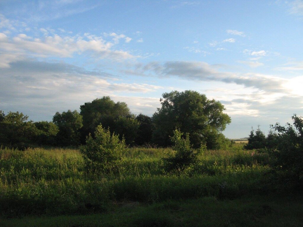 Природа в деревне