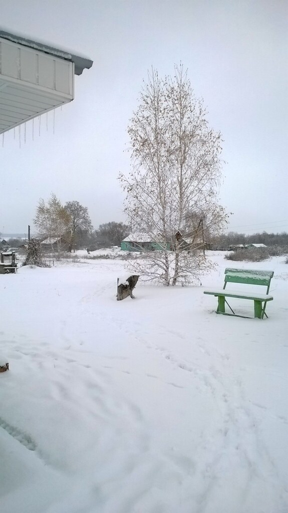 Дом Маркиных