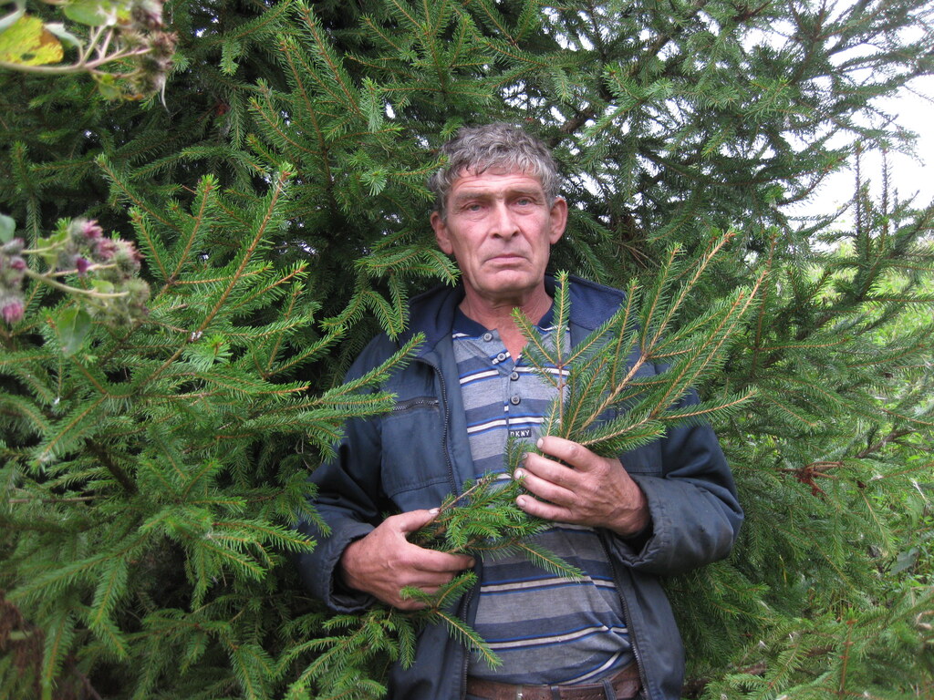 Ерошкин Николай Викторович
