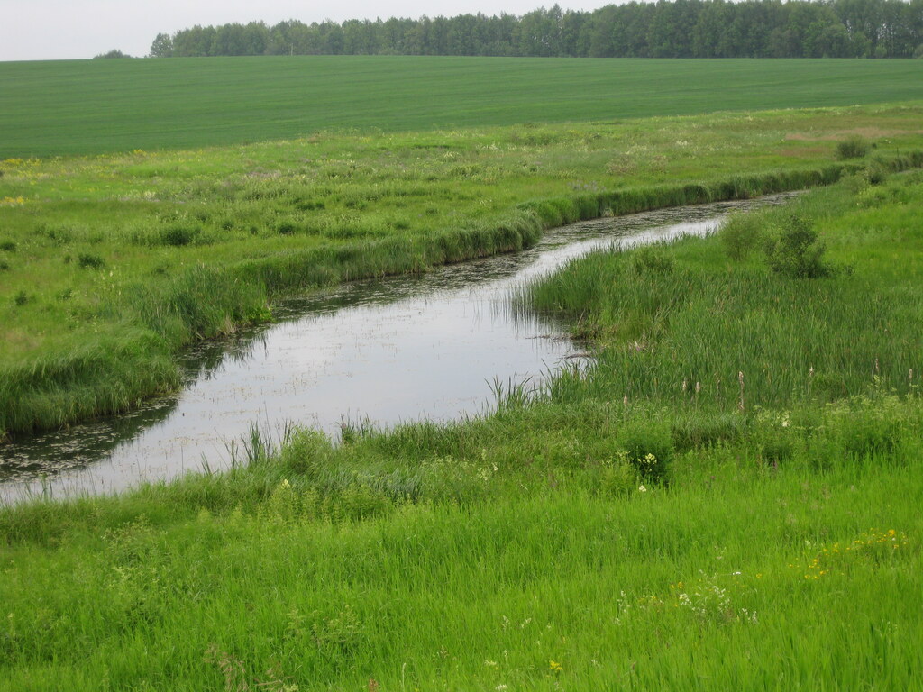 Речка "Ендова"