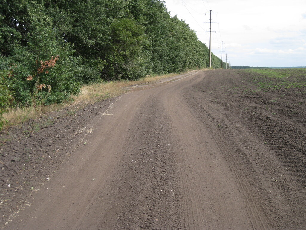 Дорога