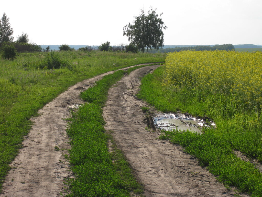 Дорога