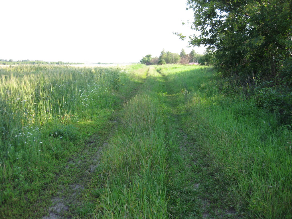 Дорога