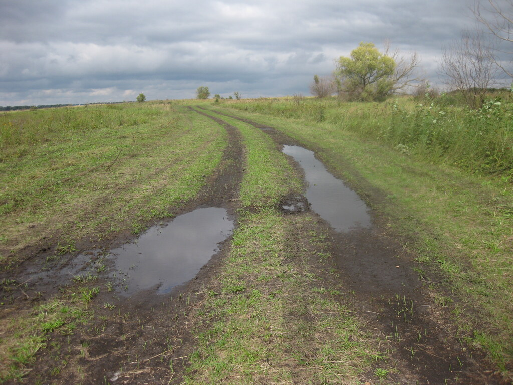 Природа в деревне