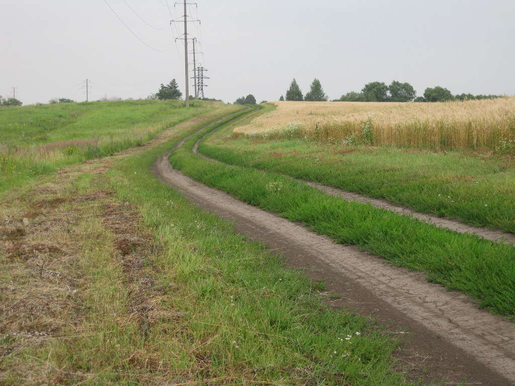 Природа в деревне
