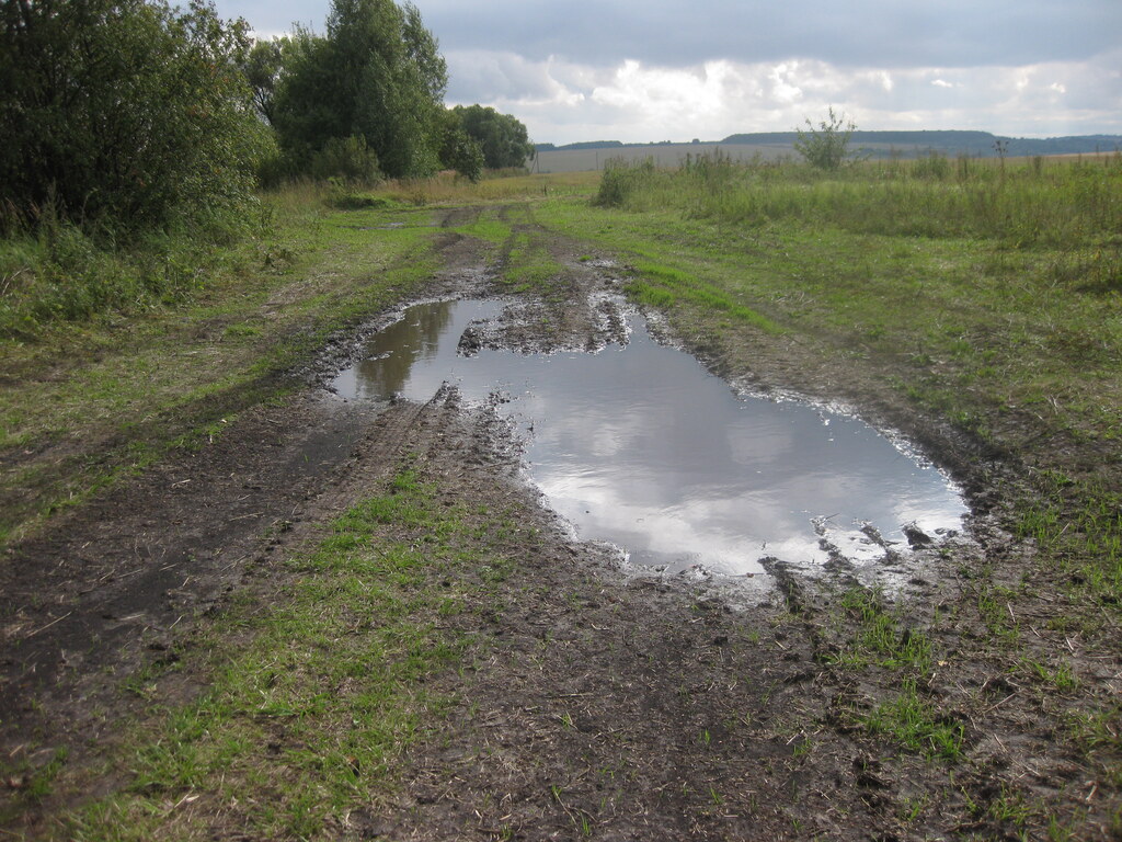 Природа в деревне