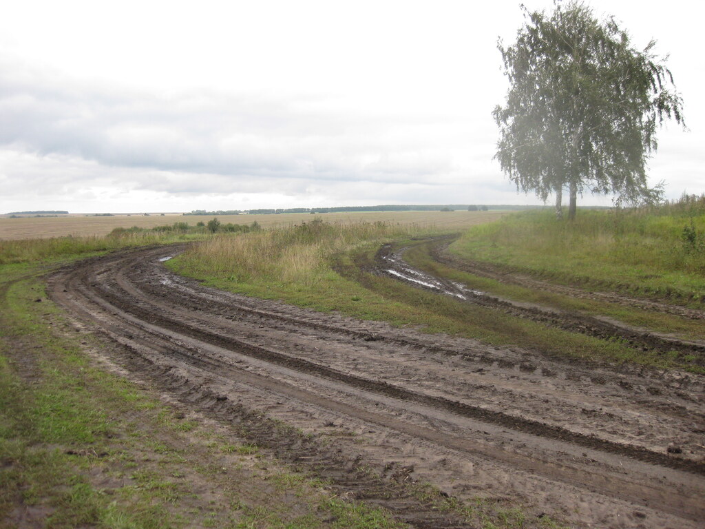 Природа в деревне