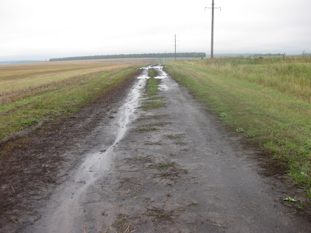 Природа в деревне