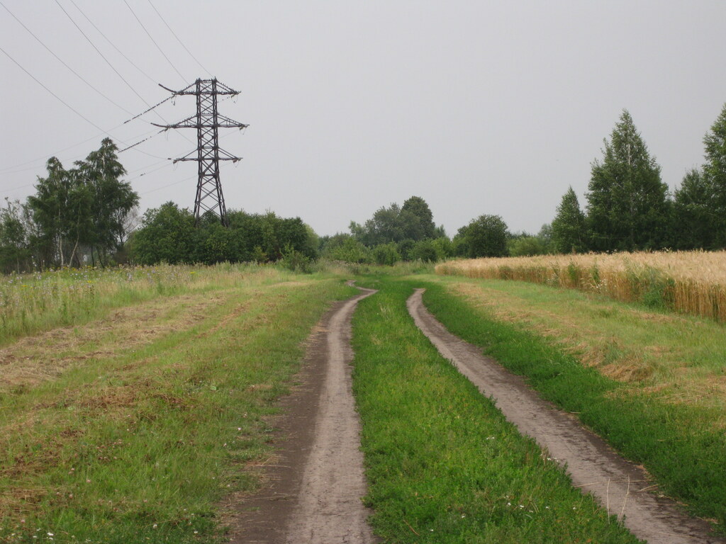 Природа в деревне